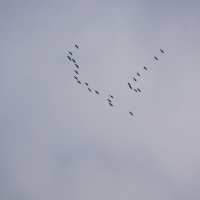 Angersbach DSC06912.jpg